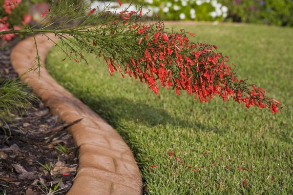 Brick Edging in Foley