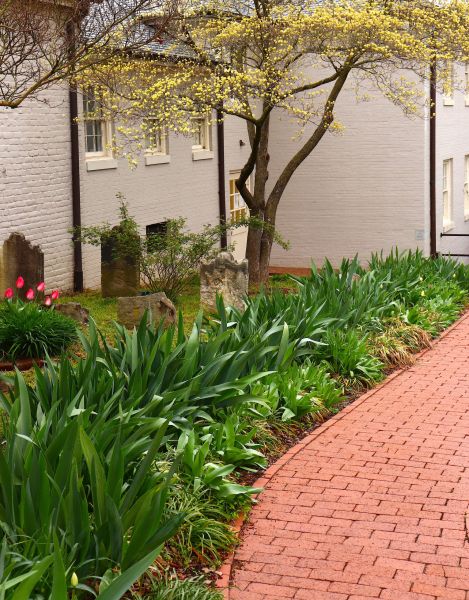 Brick Flatwork Repair in Foley